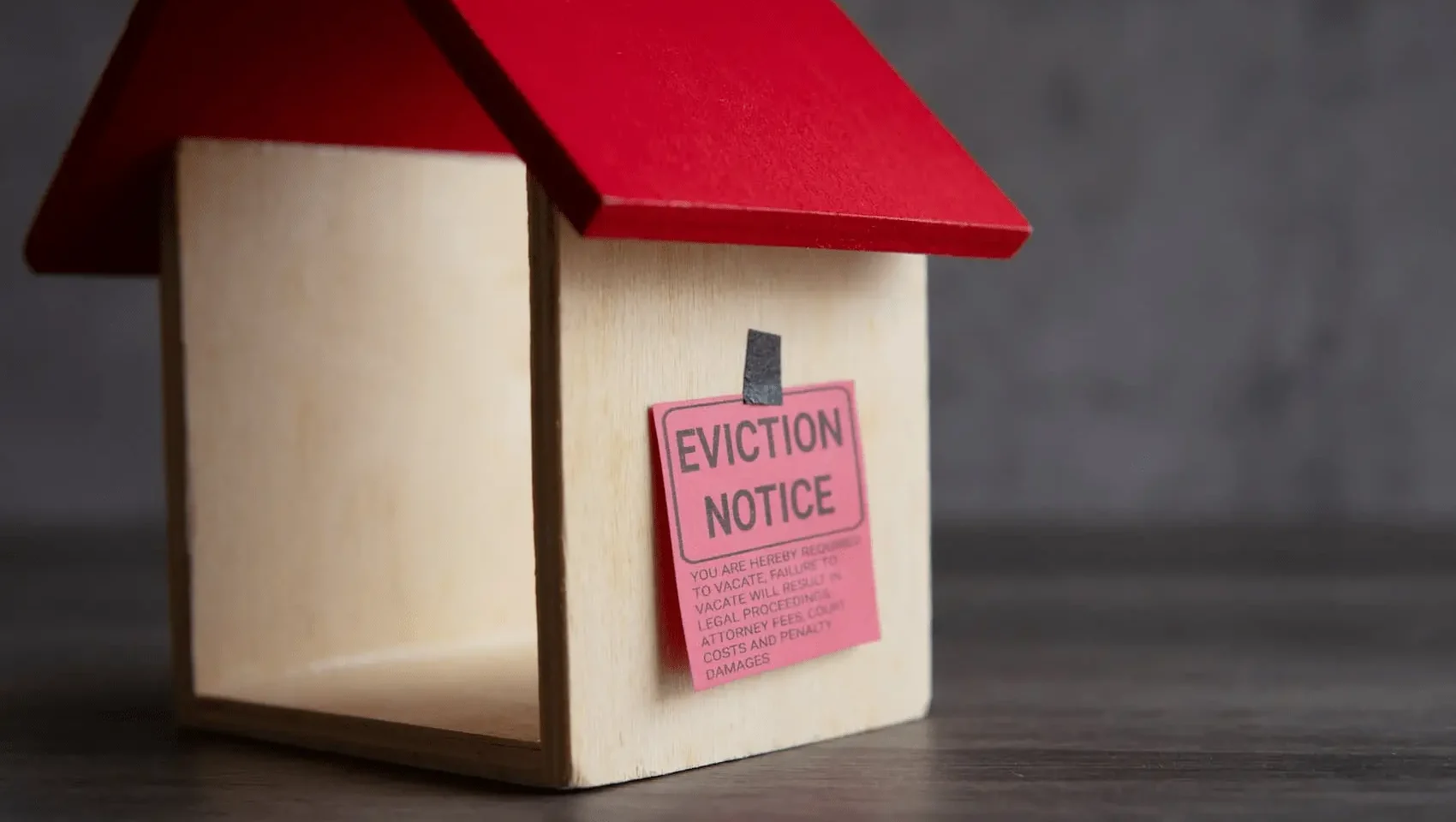 derechos de los okupas